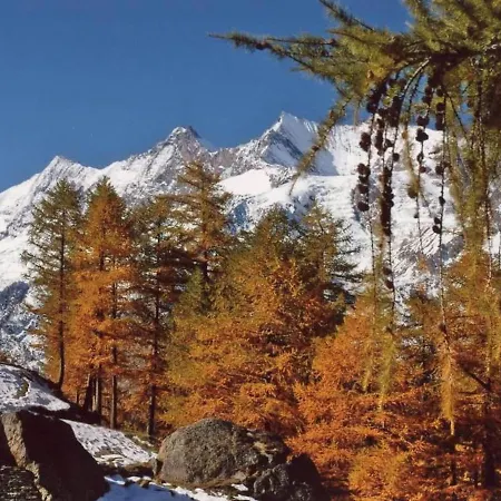 Fee-rien 1- Og * Saas Fee